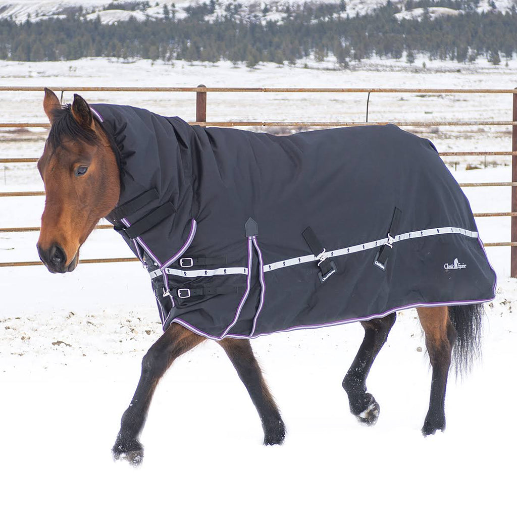 10k Cross Trainer Horse Blanket with Hood G244