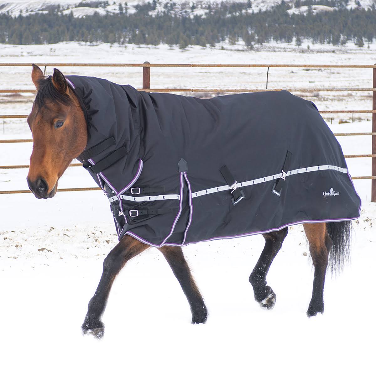 10k Cross Trainer Horse Blanket with Hood G244