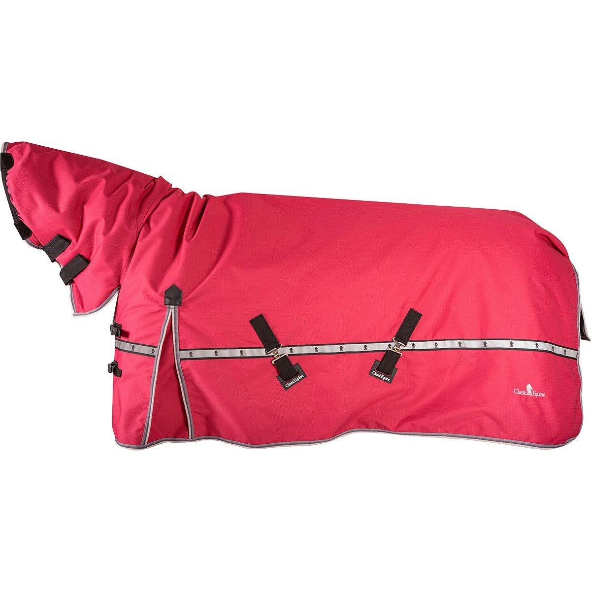 10k Cross Trainer Horse Blanket with Hood G244